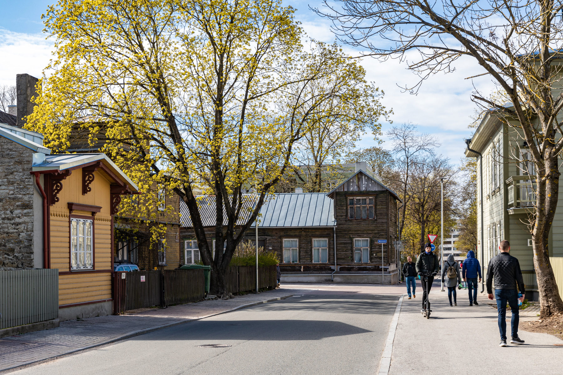 Kadriorg, Tallinn (Кадриорг, Таллин)